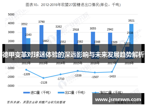 德甲变革对球迷体验的深远影响与未来发展趋势解析