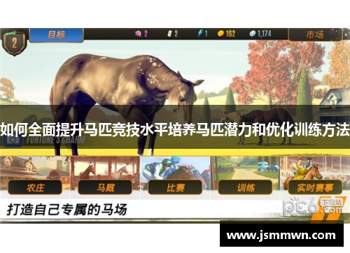 如何全面提升马匹竞技水平培养马匹潜力和优化训练方法